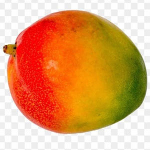 Meet your Posher, Jake